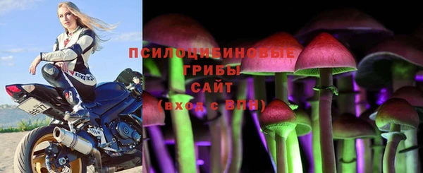 мяу мяу мука Горняк