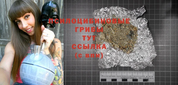 стаф Горно-Алтайск